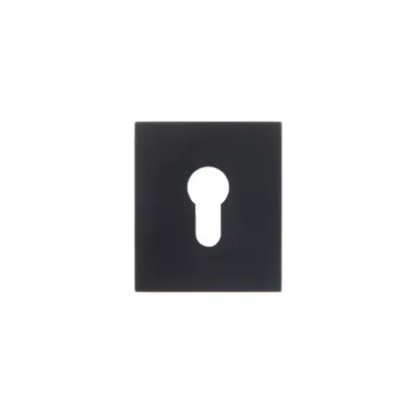 Ներդիր միջուկի դեկորատիվ Code Deco Slim DP-16-C-BLM 00032914