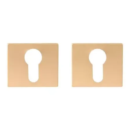 Ներդիր միջուկի Code Deco Fusion DP-C-100-GMS 00034945