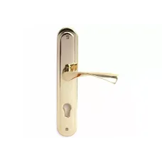 Բռնակ դռան Apecs HP-85.0423-G 00010714