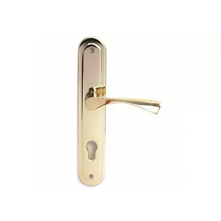 Բռնակ դռան Apecs HP-85.0423-G 00010714 Բռնակ դռան Apecs HP-85.0423-G 00010714