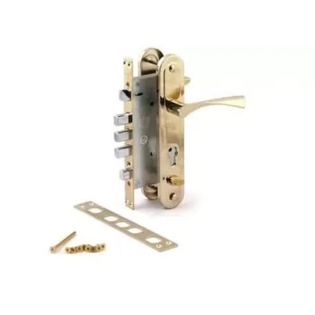 Փականի հավաքածու մուտքի դռան Apecs Т-0523-C-G-L 00011288