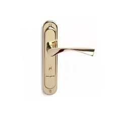 Բռնակ դռան Apecs HP-77.0323-S-G 00012488 Բռնակ դռան Apecs HP-77.0323-S-G 00012488