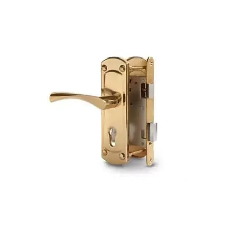 Փականի հավաքածու մուտքի դռան Apecs 1423-G 00013811