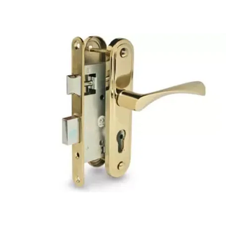 Փականի հավաքածու մուտքի դռան Apecs 1623-G 00013910