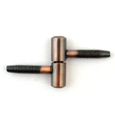 Ծխնի պտուտակավոր Apecs 17-13-AC 00014296