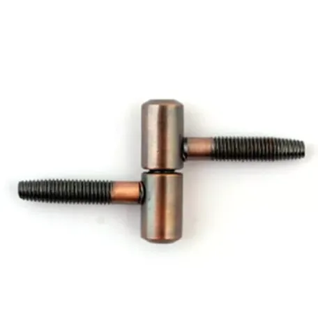 Ծխնի պտուտակավոր Apecs 17-13-AC 00014296