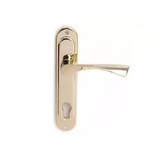 Բռնակ դռան Apecs HP-85.0123-G 00015099 Բռնակ դռան Apecs HP-85.0123-G 00015099