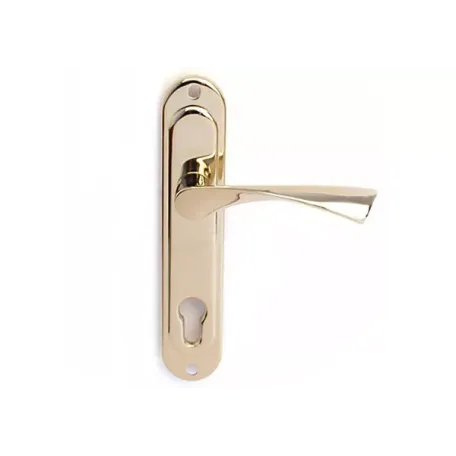 Բռնակ դռան Apecs HP-85.0123-G 00015099 Բռնակ դռան Apecs HP-85.0123-G 00015099