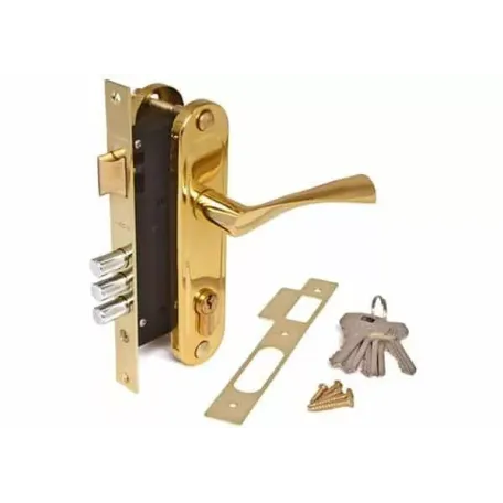 Փականի հավաքածու մուտքի դռան Apecs 1523/60-G 00015440