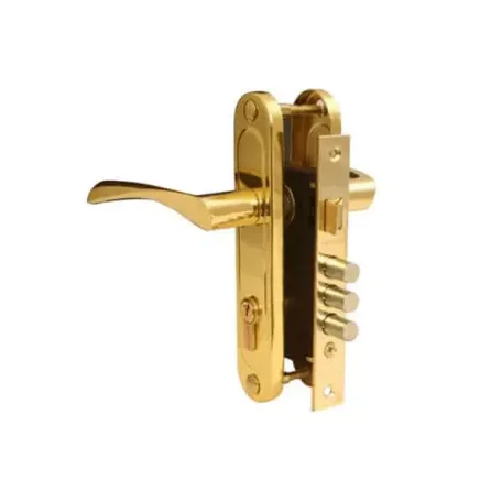 Փականի հավաքածու մուտքի դռան Apecs 1023/60-G 00015575