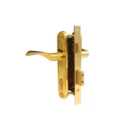 Փականի հավաքածու մուտքի դռան Apecs 1223/60-G 00015577