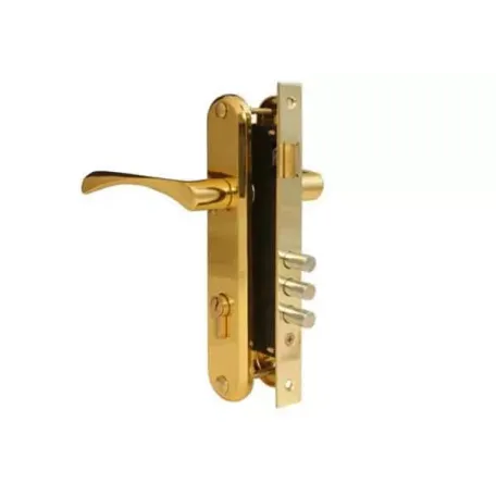 Փականի հավաքածու մուտքի դռան Apecs 2223/60-G 00015579