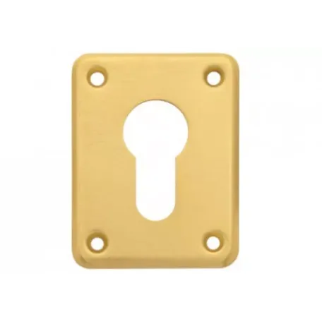 Ներդիր միջուկի դեկորատիվ Apecs DP-C-01-GM (B2B) 00016349