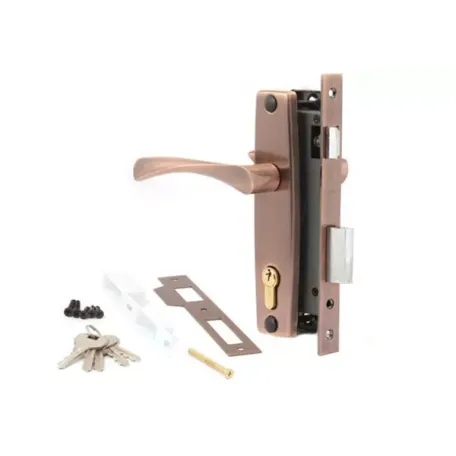 Փականի հավաքածու մուտքի դռան Apecs 1323/60-AC 00016947