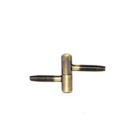 Ծխնի պտուտակավոր Apecs 17-13-AB 00017148