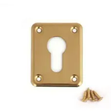 Ներդիր միջուկի դեկորատիվ Avers DP-01-C-G (B2B) 00020470