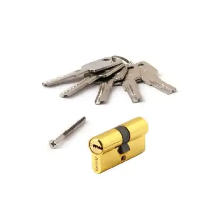 Միջուկ դռան փականի Avers ZM-60-G 00021645