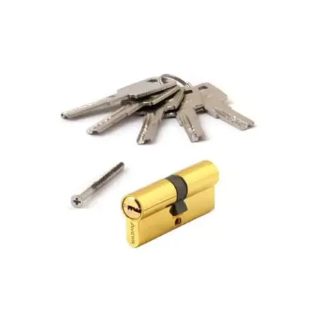 Միջուկ դռան փականի Avers ZM-70-G 00021650