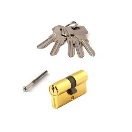 Միջուկ դռան փականի Avers ZC-60-G 00021651