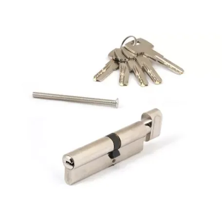 Միջուկ դռան փականի Apecs SM-100(45C/55)-C-NI 00023181