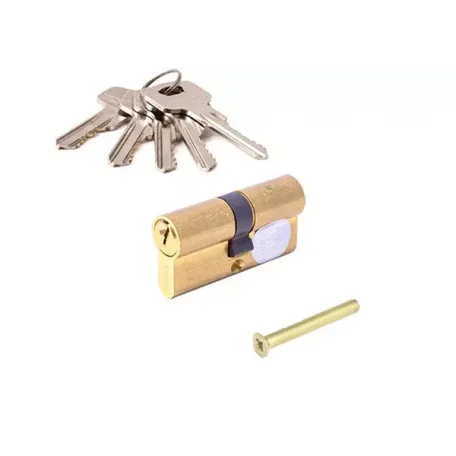 Միջուկ դռան փականի Apecs SC-60-G 00002325 Միջուկ դռան փականի Apecs SC-60-G 00002325