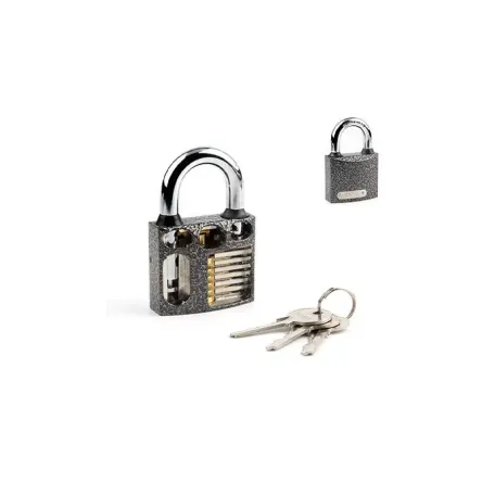 Կախովի կողպեք Apecs Demo PDZ-01-50 00027027