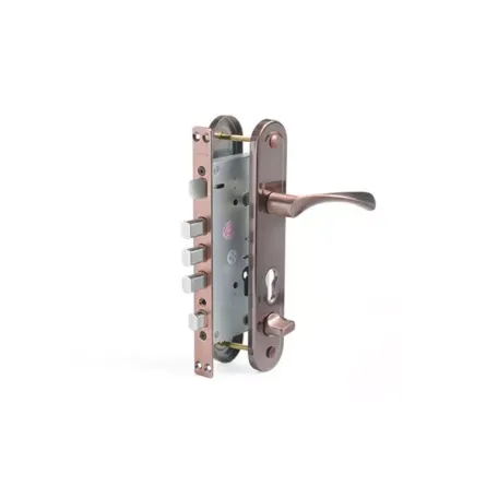 Փականի հավաքածու մուտքի դռան Apecs T-05-60/80.1923-A-C-AC-L 00027517 Փականի հավաքածու մուտքի դռան Apecs T-05-60/80.1923-A-C-AC-L 00027517