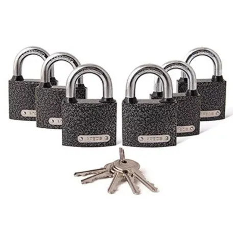 Կախովի կողպեք 6 հատ Apecs PD-01-50-Blister (6Locks+5Keys) 00028742