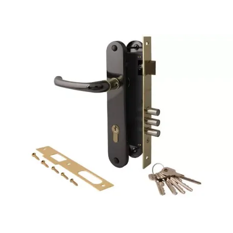 Փականի հավաքածու մուտքի դռան Apecs 2210/60-B/G 00002876