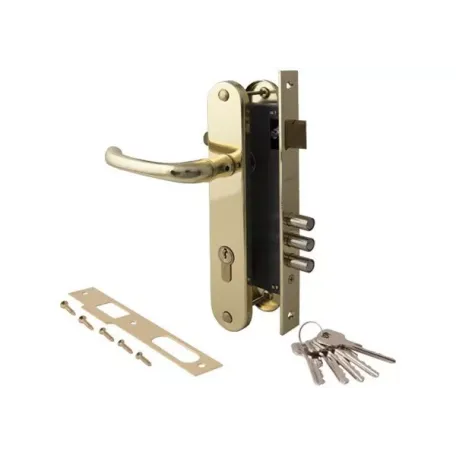 Փականի հավաքածու մուտքի դռան Apecs 2210/60-G 00002878 Փականի հավաքածու մուտքի դռան Apecs 2210/60-G 00002878