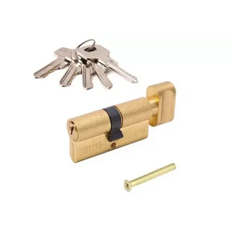 Միջուկ դռան փականի Apecs SC-60-C-G 00002935 Միջուկ դռան փականի Apecs SC-60-C-G 00002935