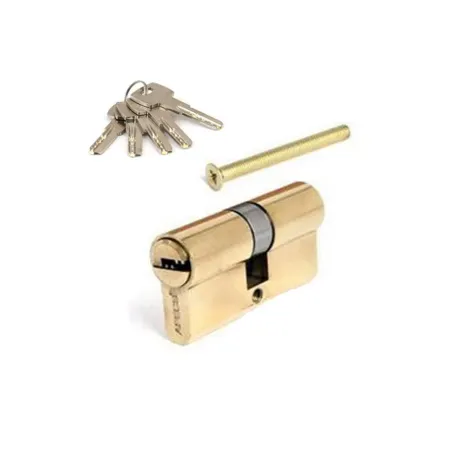 Միջուկ դռան փականի Apecs EM-60-G 00033135