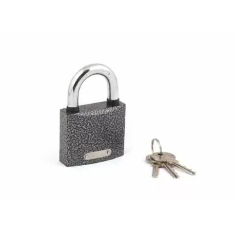 Կախովի կողպեք Apecs PD-01-63 00006677