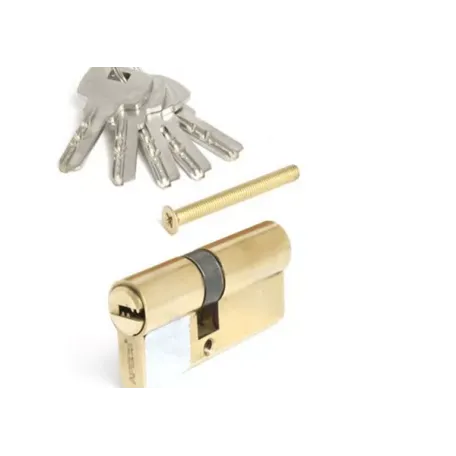 Միջուկ դռան փականի Apecs SM-70(30/40)-G 00009066 Միջուկ դռան փականի Apecs SM-70(30/40)-G 00009066