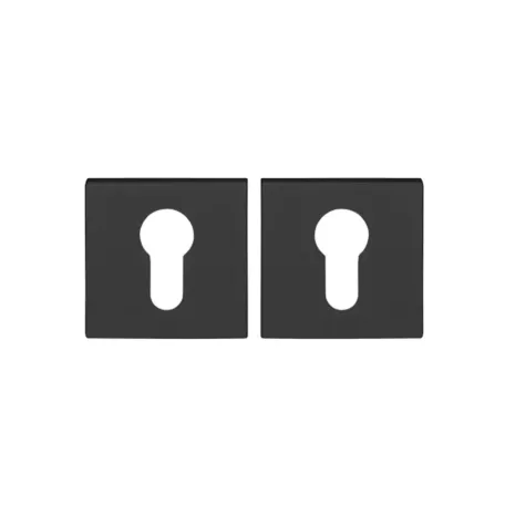 Ներդիր միջուկի DP-C-30-BLM (B2B) (AM)