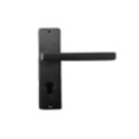 Բռնակ մուտքի CODEUS F-01-1233 BLM