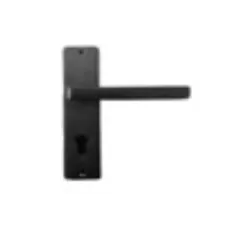 Բռնակ մուտքի CODEUS F-02-1124 GRF