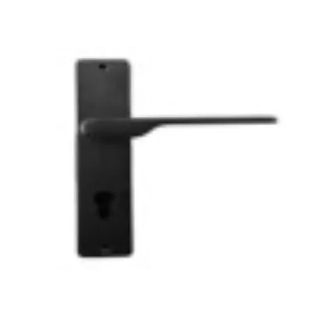 Բռնակ մուտքի CODEUS CM-04-1219 CRM