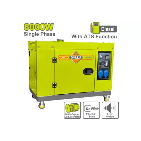 Դիզելային գեներատոր (անաղմուկ) DYLLU DTDG2A100-1 8000Վտ